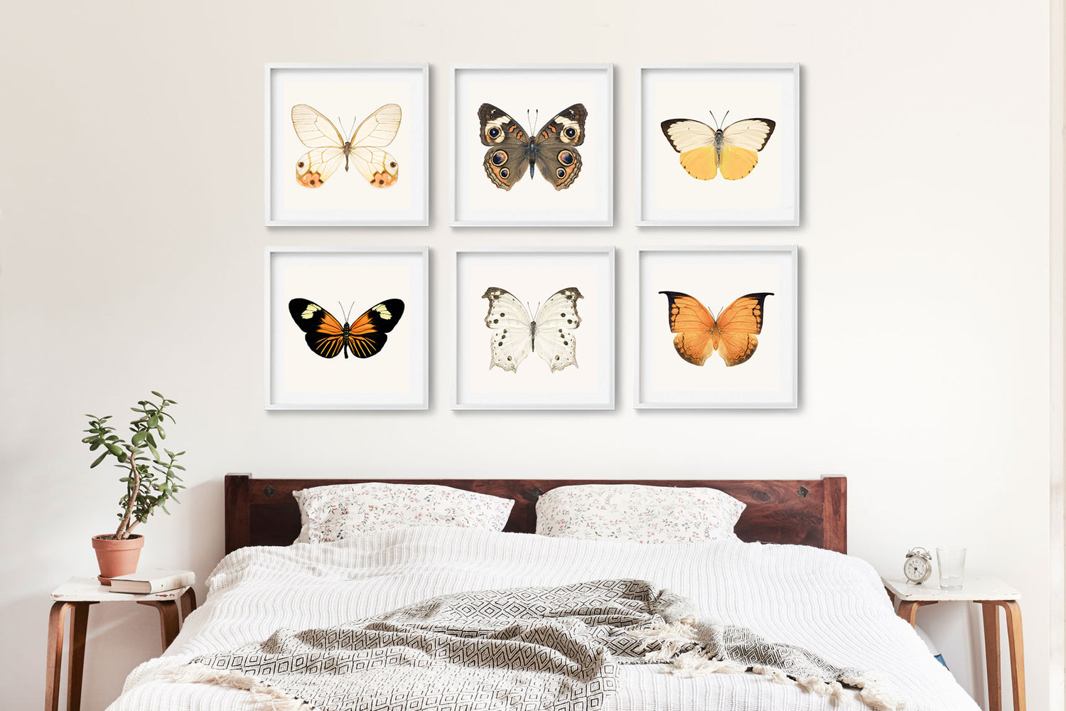 Butterfly Prints