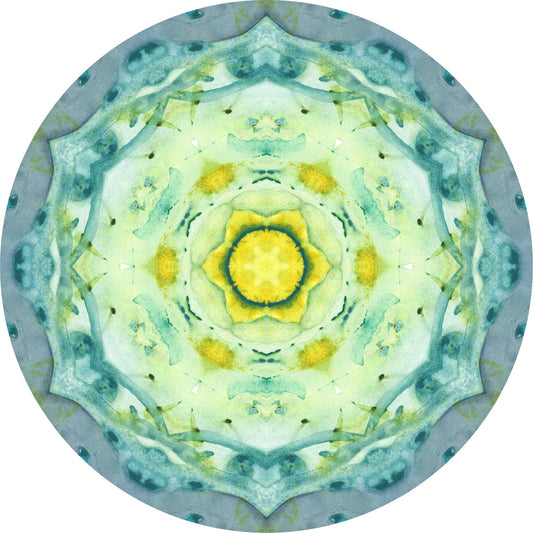 Oct 13 2023 - Mandala Art Instant Digital Download - 059