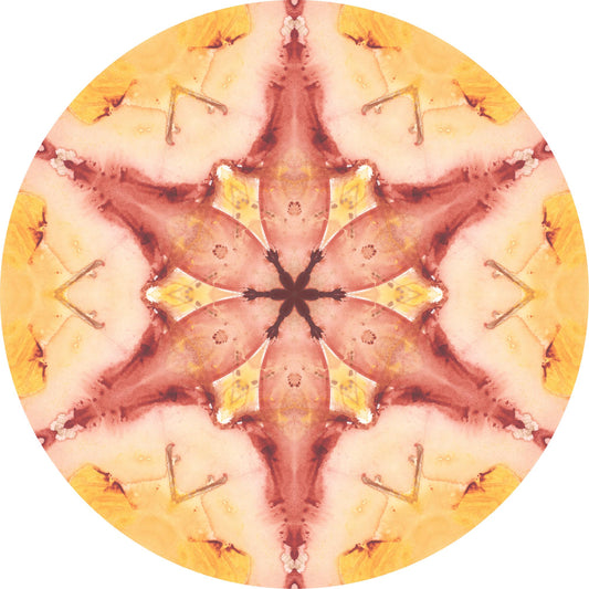 Nov 3 2023 - Mandala Art Instant Digital Download - 080