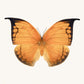 Orange Leafwing - Instant Digital Download