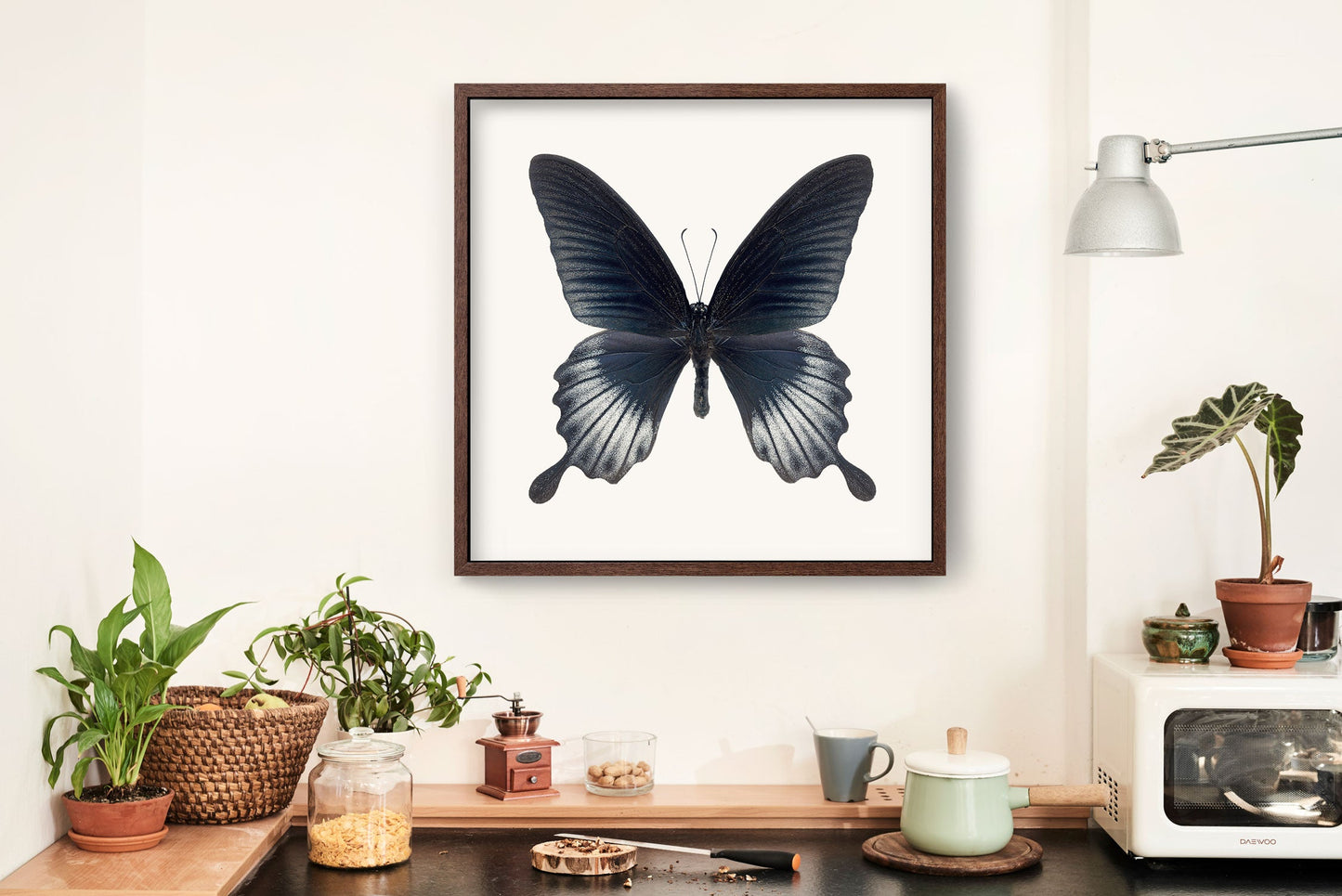 Asian Swallowtail Butterfly - Instant Digital Download