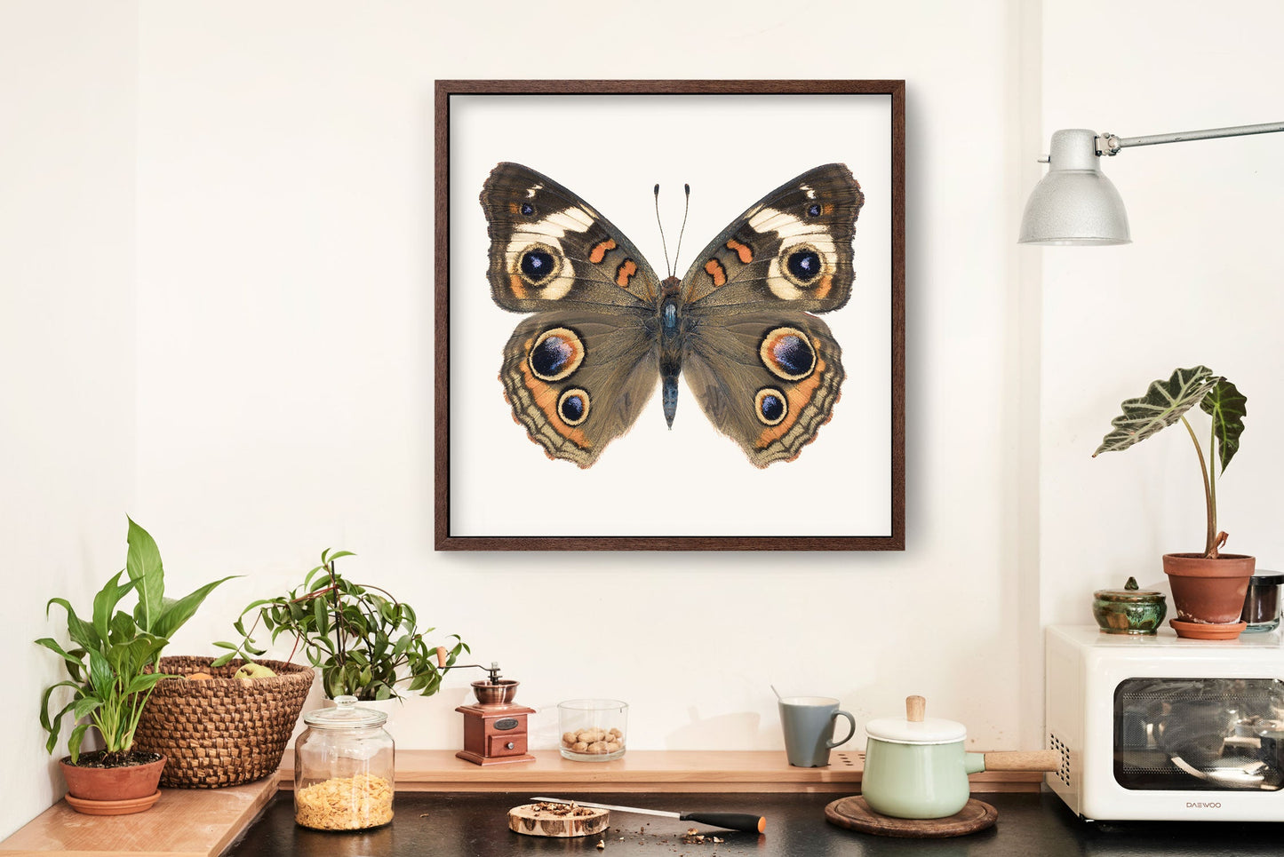 Common Buckeye Butterfly - Instant Digital Download