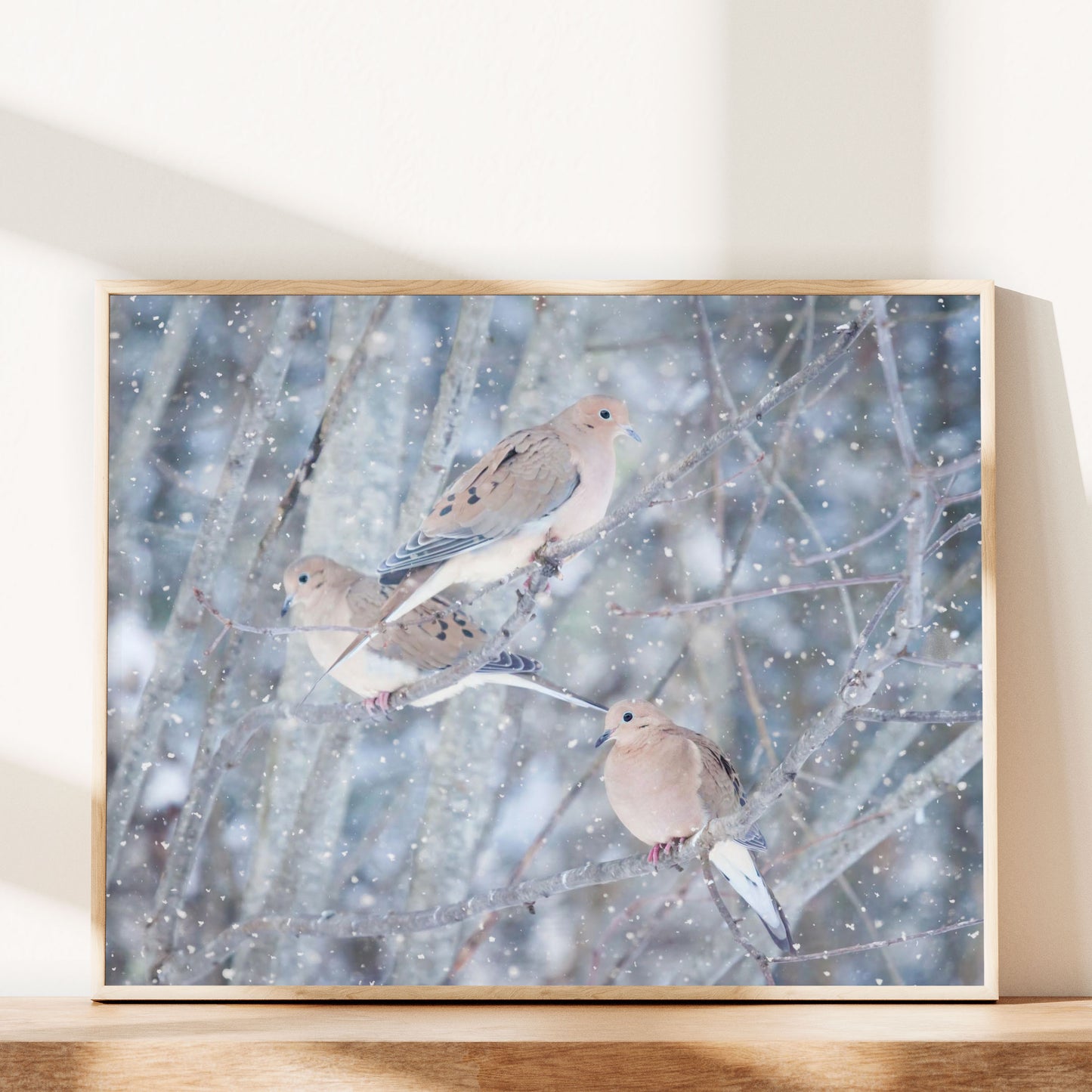 Mourning Doves in Snow No. 6
