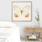 Orange Glasswing Butterfly - Instant Digital Download
