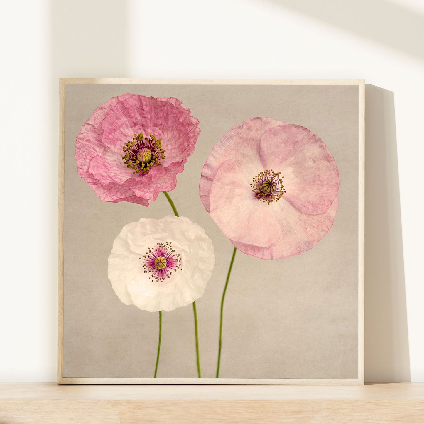 Pink Poppies No. 2