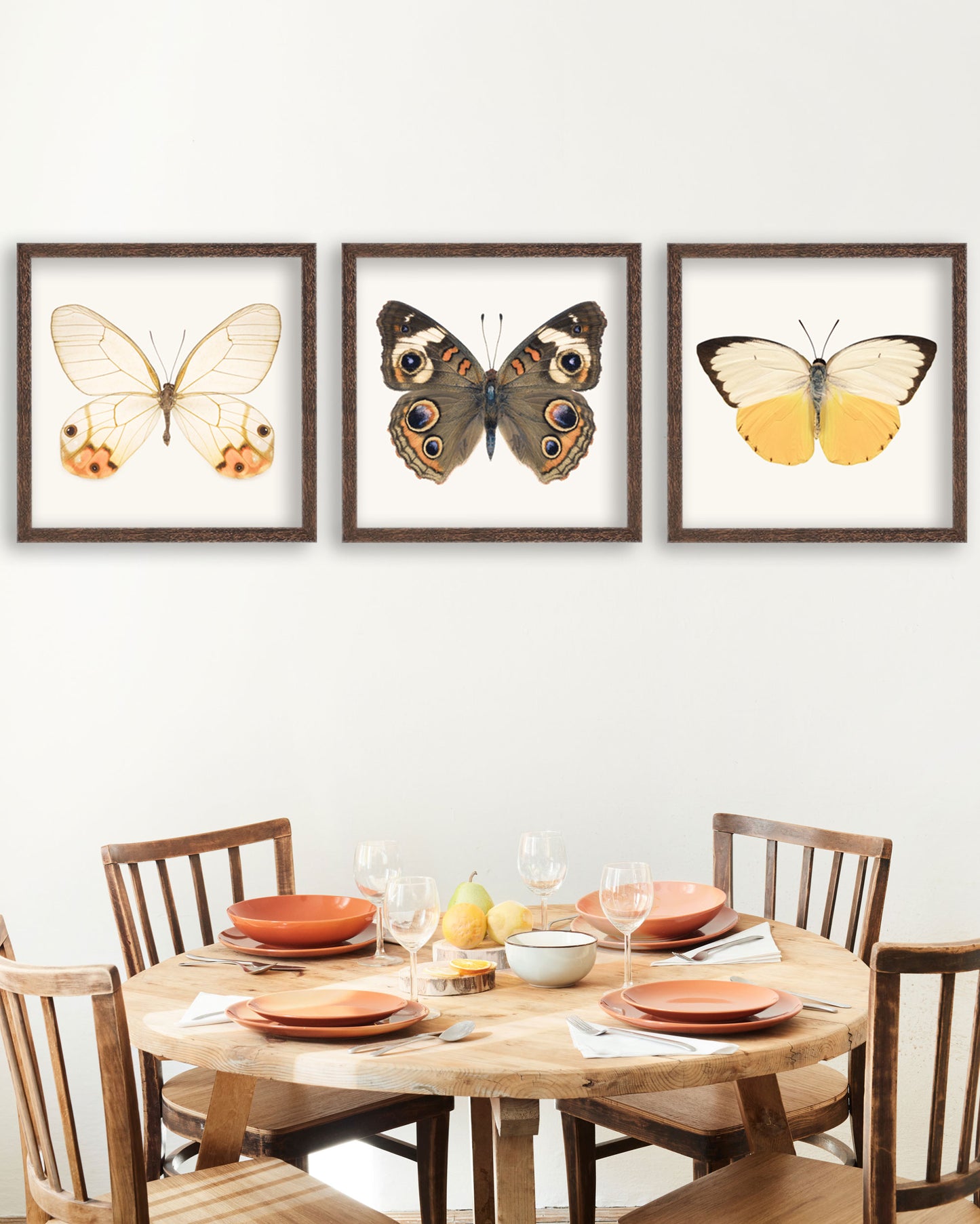 Set of 3 Butterfly Prints
