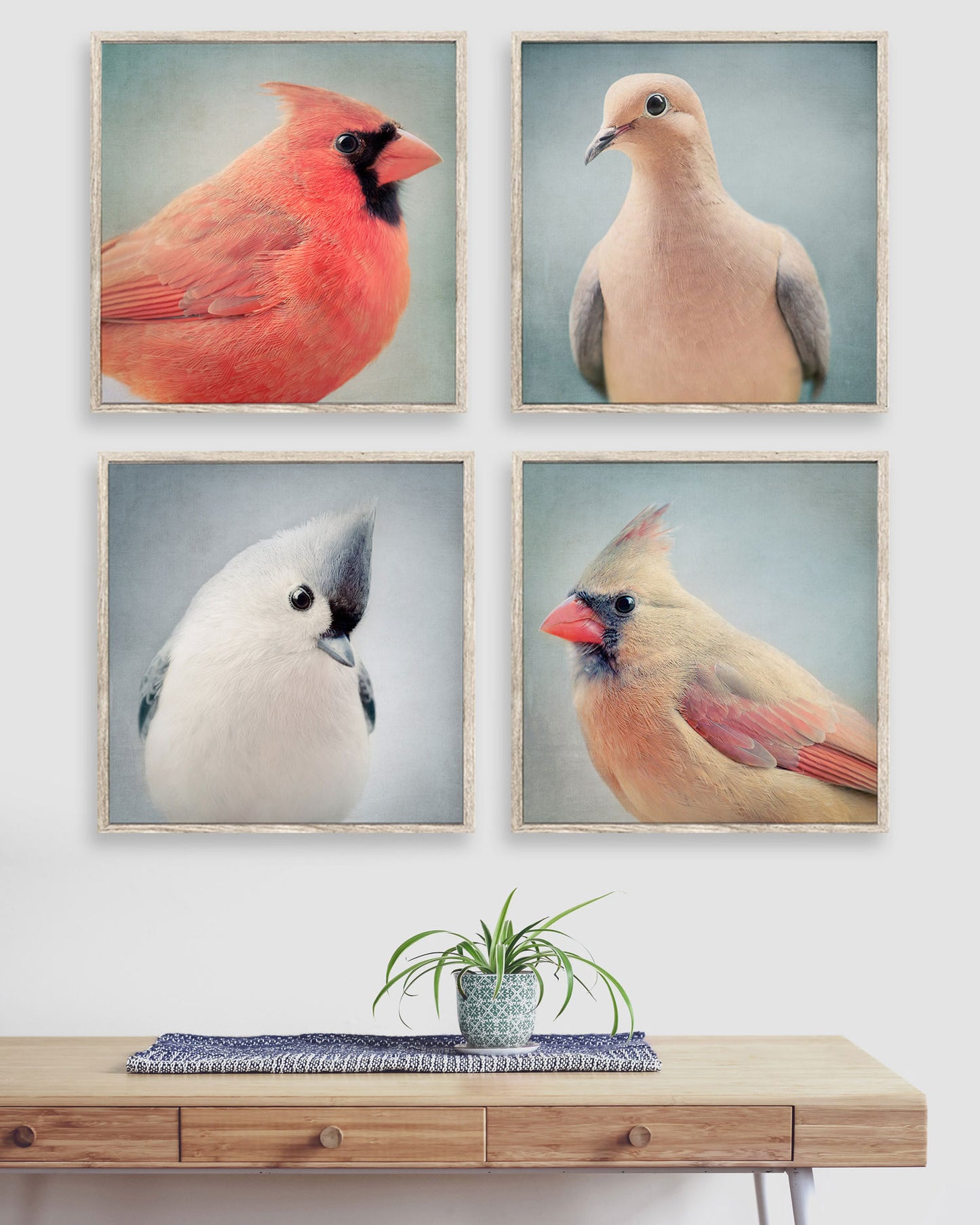 Set of 4 Bird Portrait Prints
