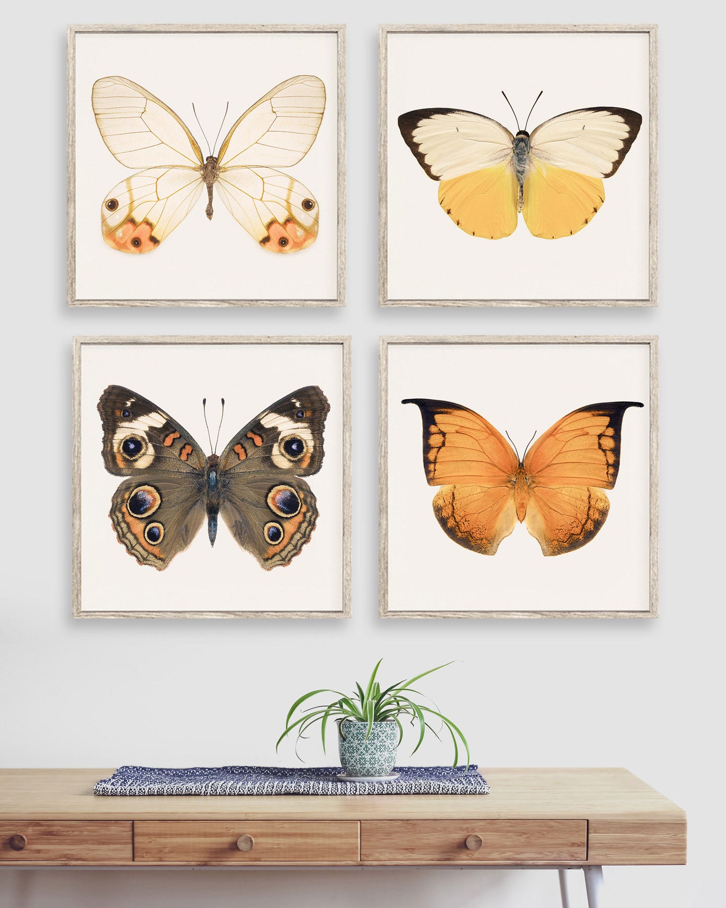 Set of 4 Butterfly Prints
