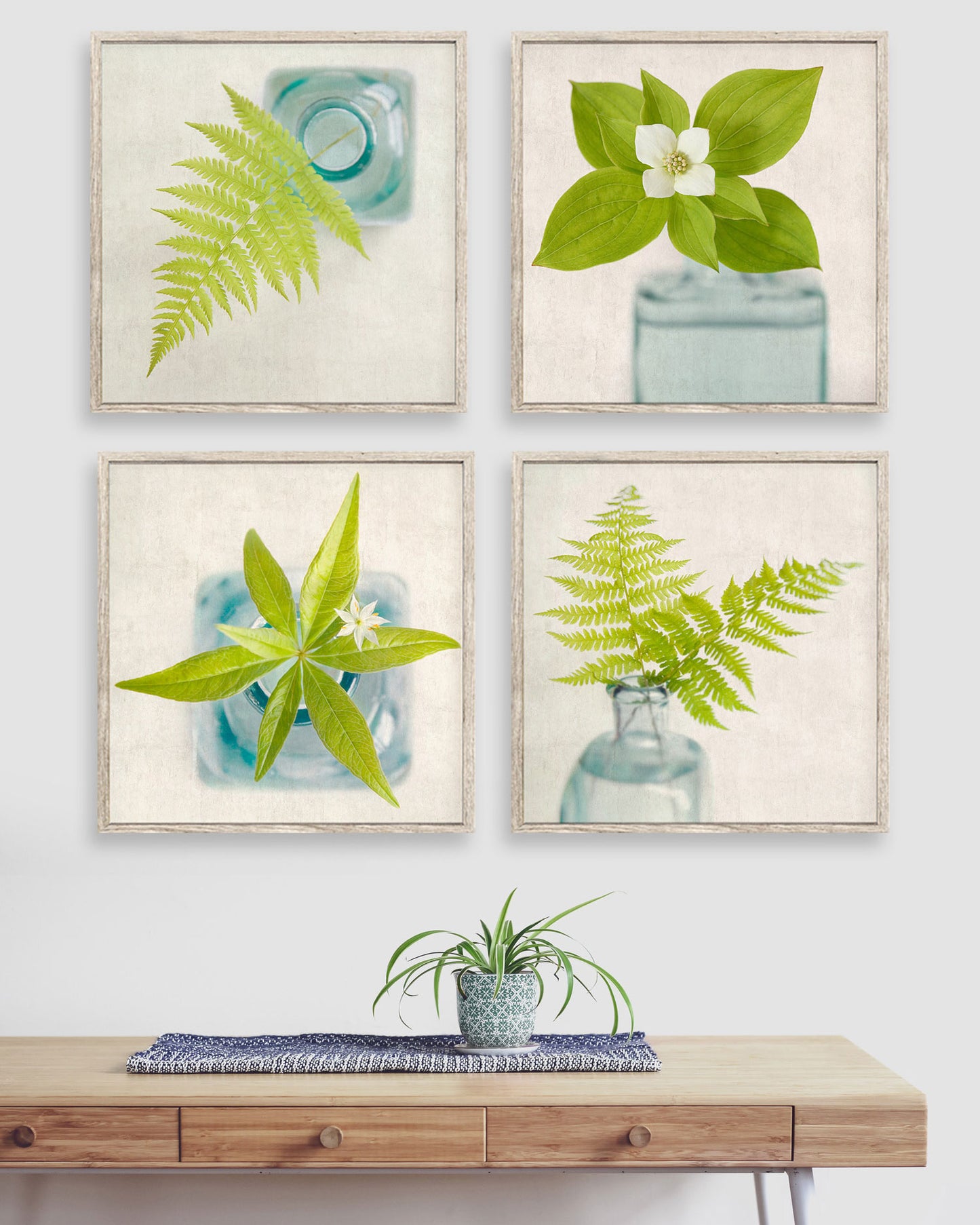 Set of 4 Botanical Prints