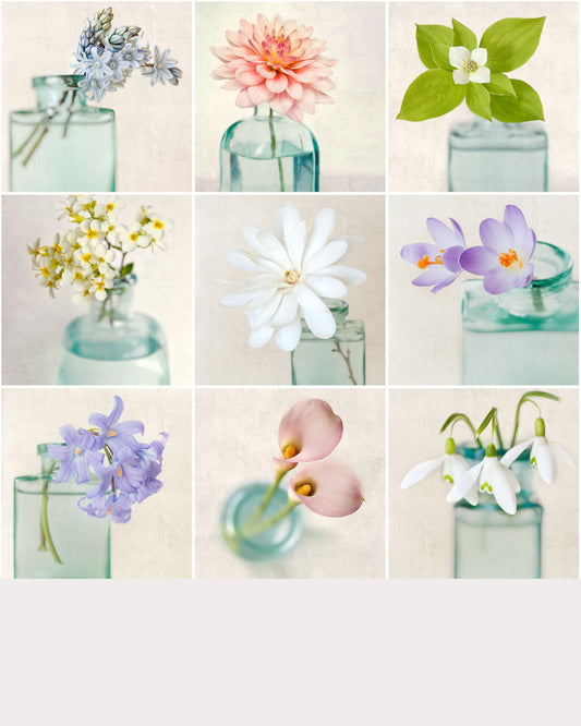 Set of 9 Prints, Floral Still Lifes