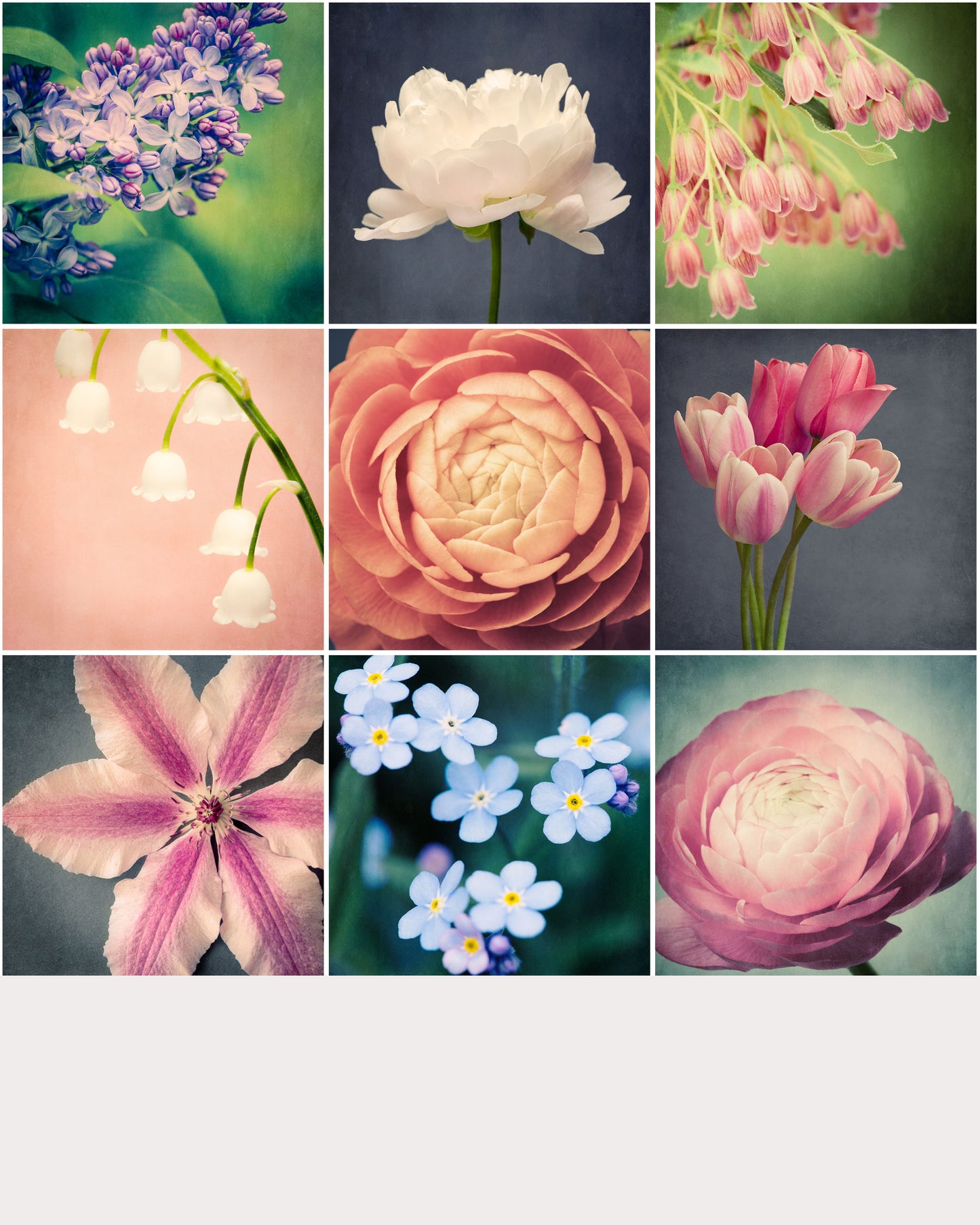 Set of 9 Flower Prints