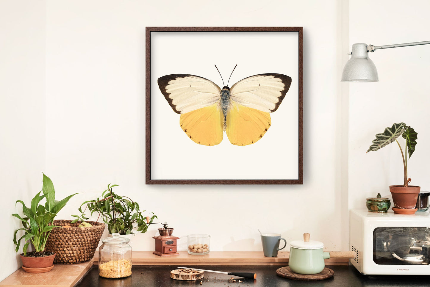 Orange Migrant Butterfly - Instant Digital Download