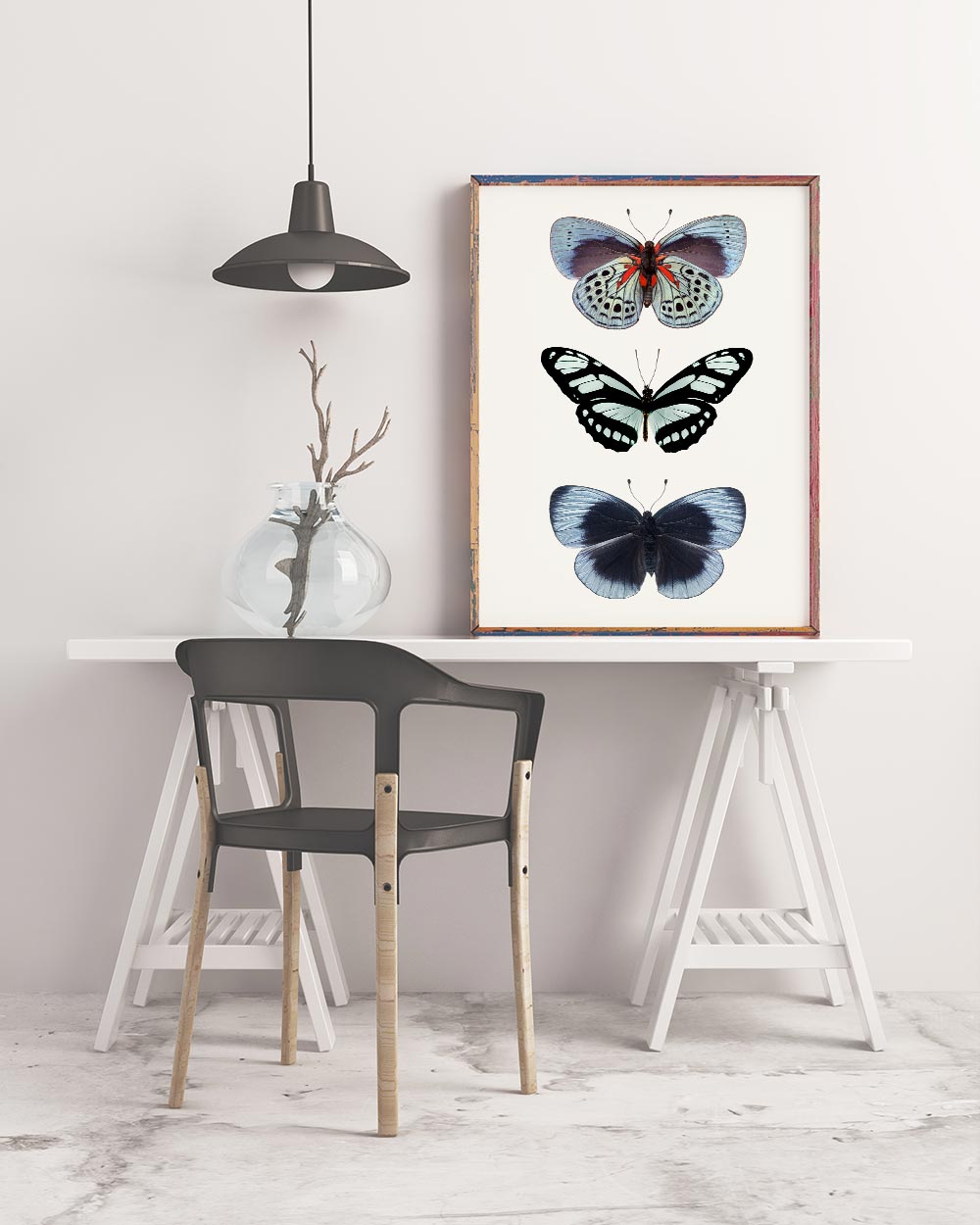 Framed Print of Blue Butterflies