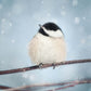 Birds in Snow - Set of 3