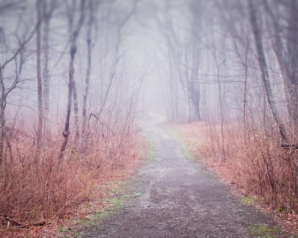 Fine art photograph of a woods path in fall in the fog