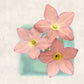 Pink Flowers - Set of 4