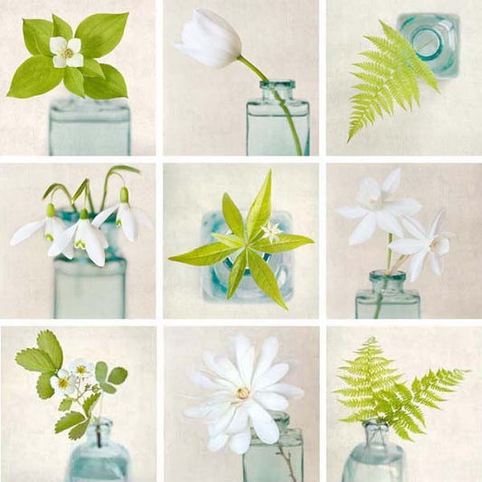 Set of 9 Prints, Fine Art Photo Set "Green & White Flowers"