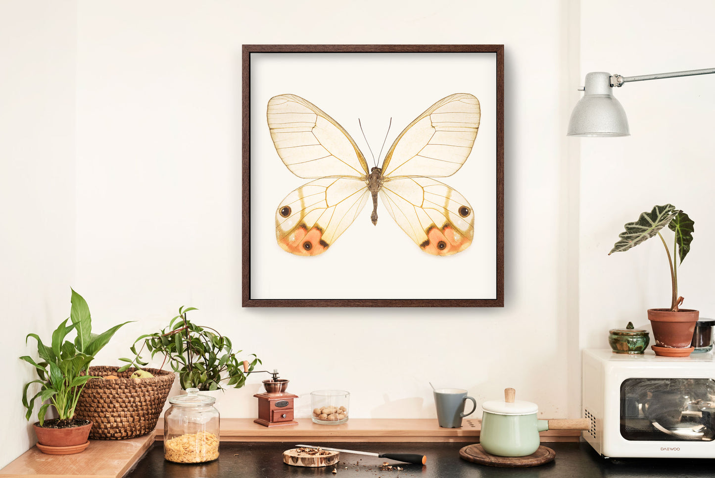 SQ Butterfly No. 2 - Orange Glasswing Butterfly
