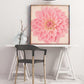 Sample framed image of pink dahlia art print