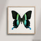 SQ Butterfly No. 16 - Peacock Butterfly