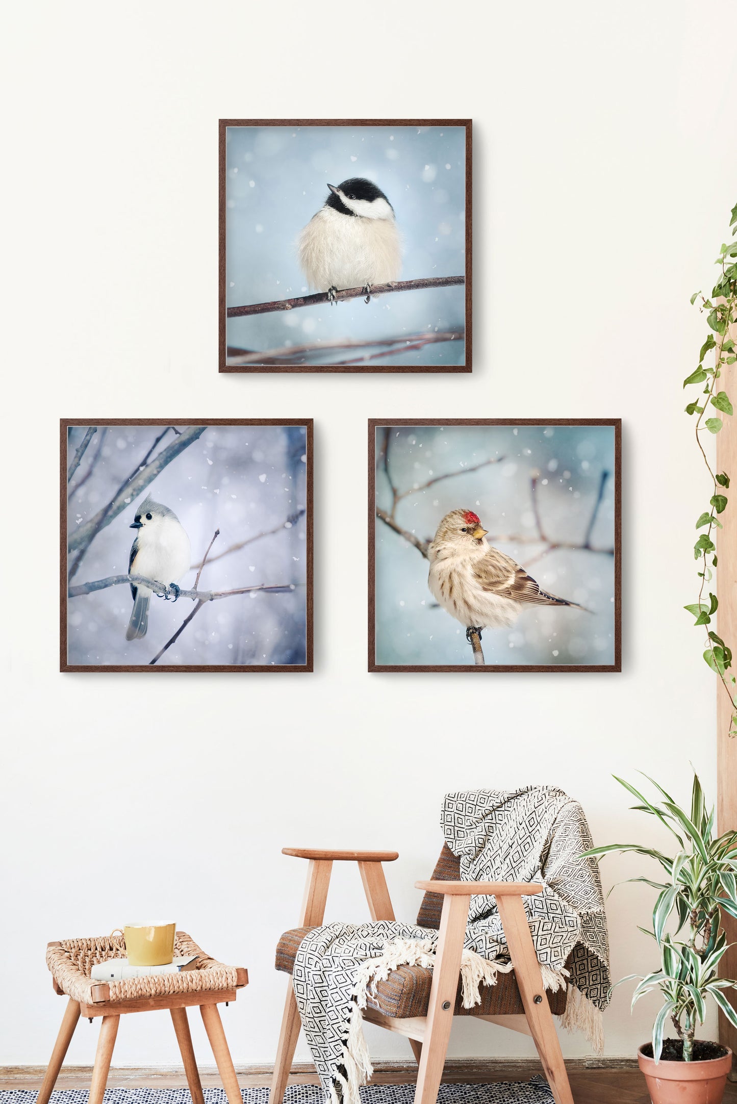 set of 3 birds in snow prints