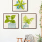 set of 3 prints of green flowers and ferns