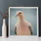 Mourning Dove No. 5