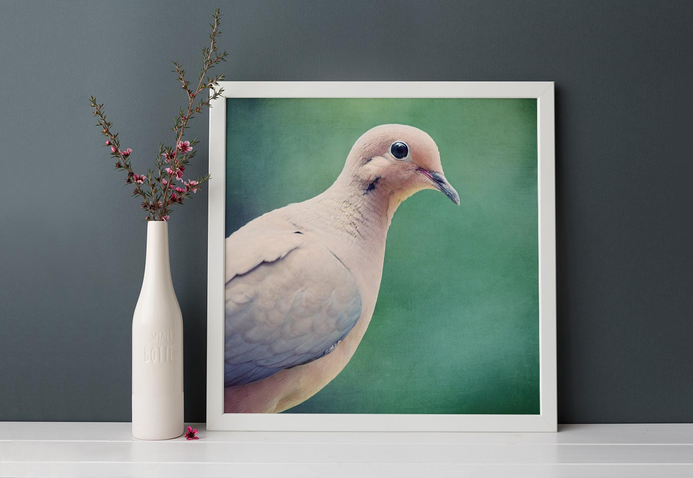 Mourning Dove No. 8